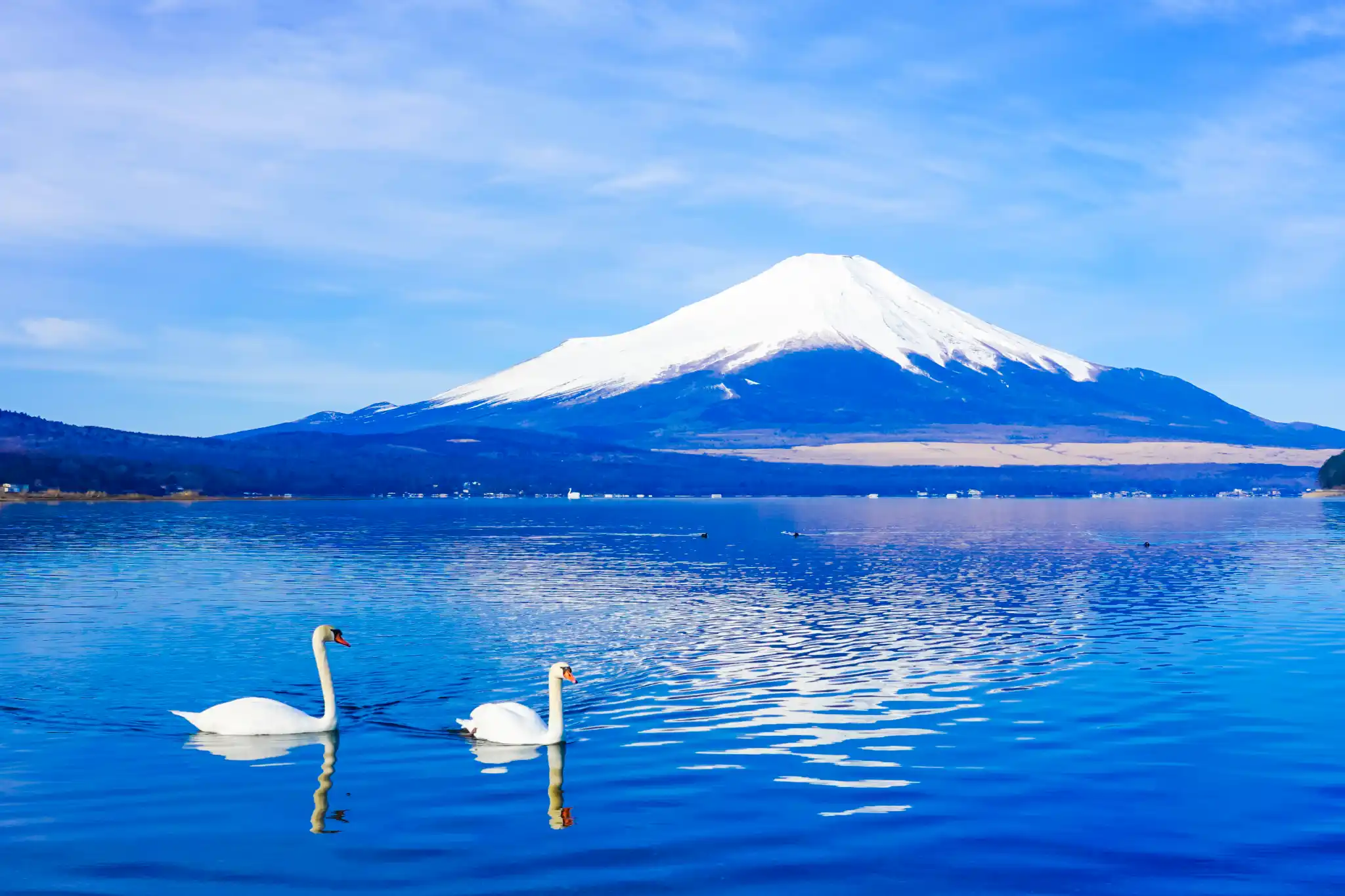 Drive around the Kawaguchiko area